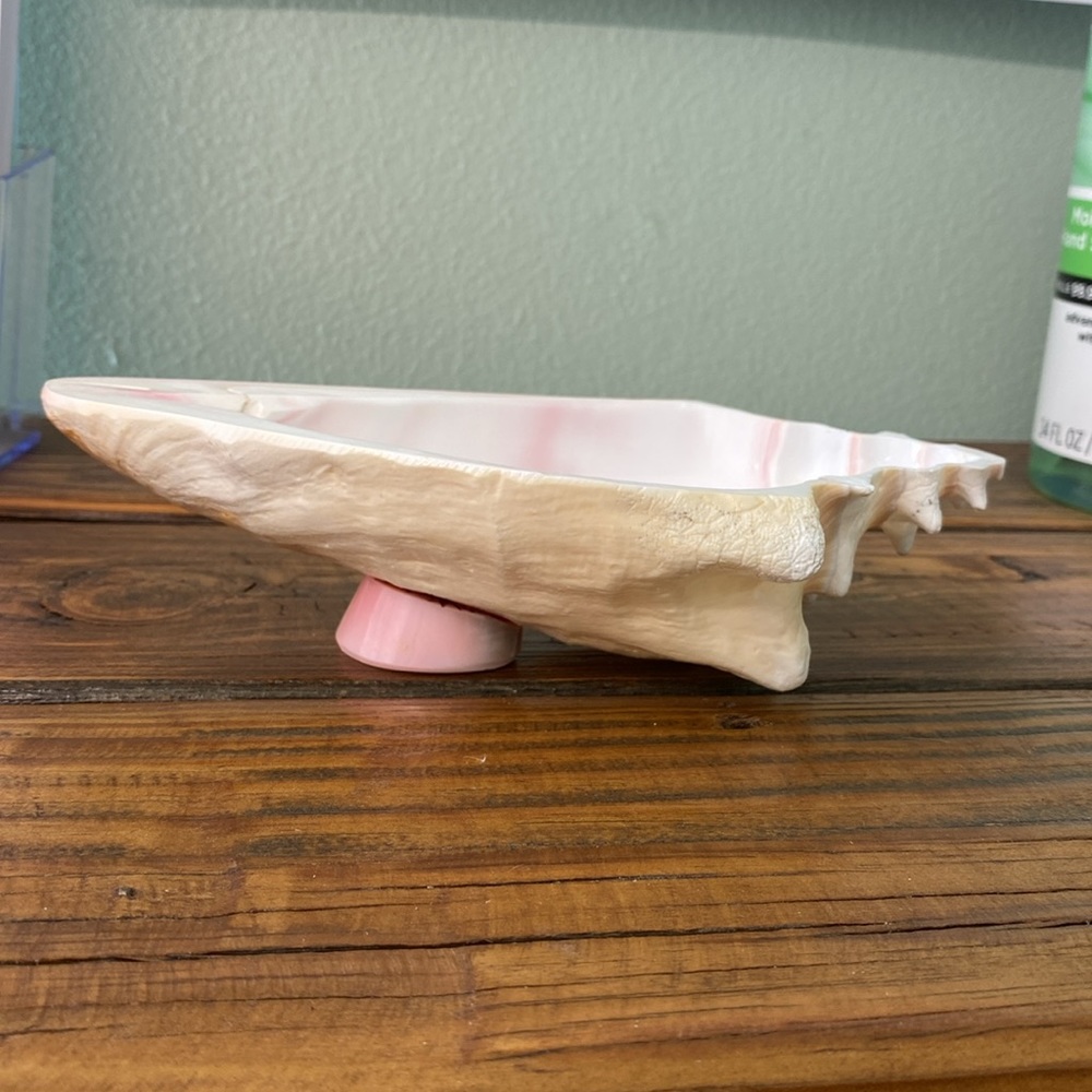 Caribbean Conch Real  Shell  Footed Bowl - Picture 3 of 9